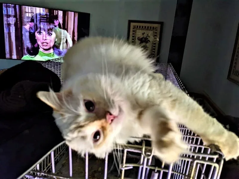 Chablais thumbnail 6