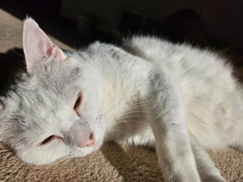 Biancha  Now Yue thumbnail 2