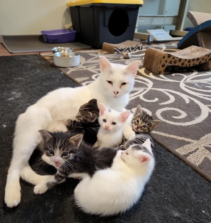 Biancha  Now Yue thumbnail 4