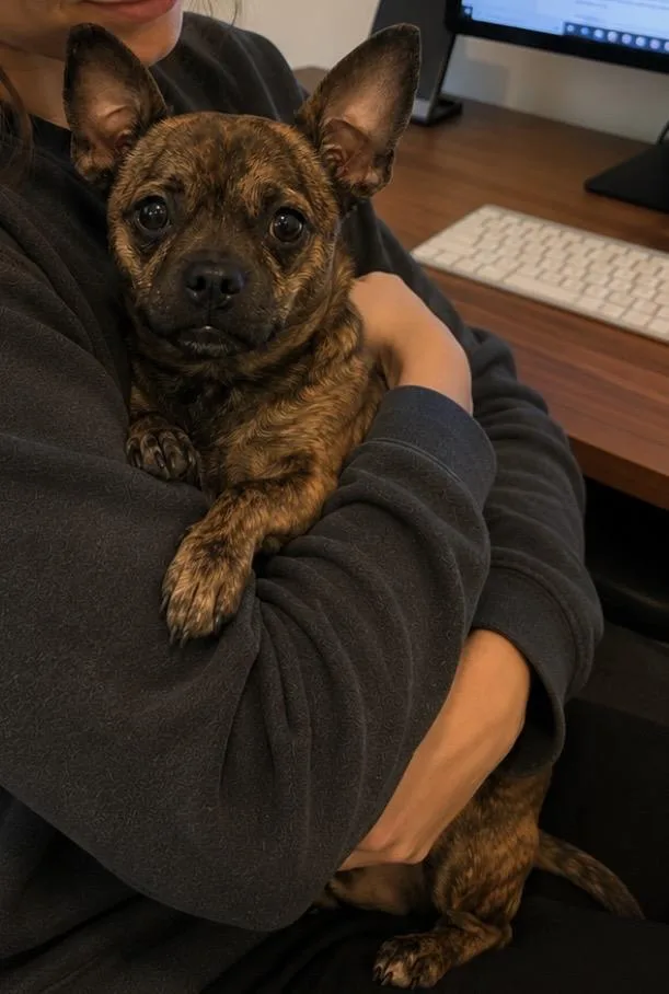 Peanut The tiny human thumbnail 3