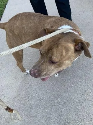 Hernandez thumbnail 2