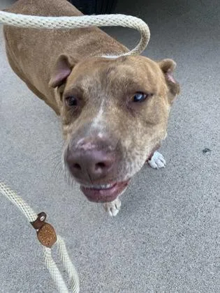 Hernandez thumbnail 3