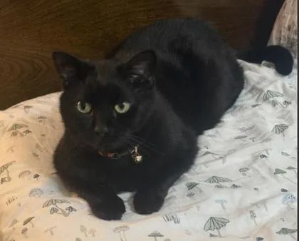 Salem