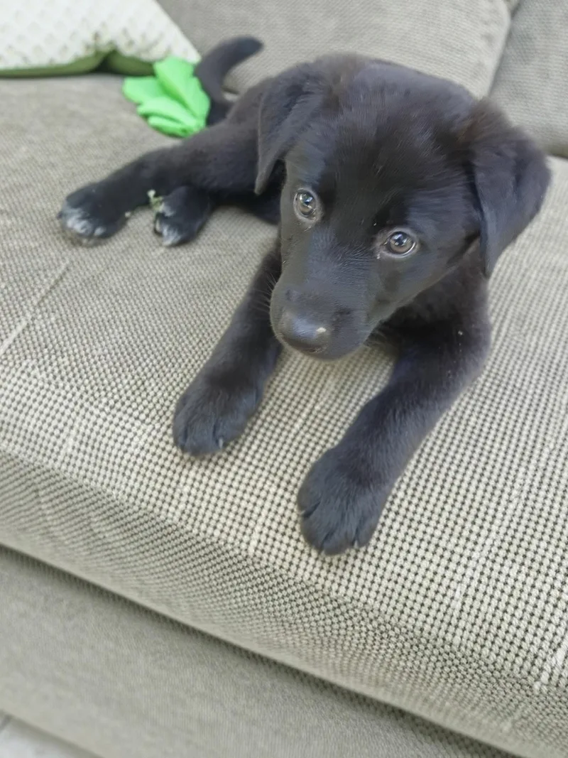 Titus
