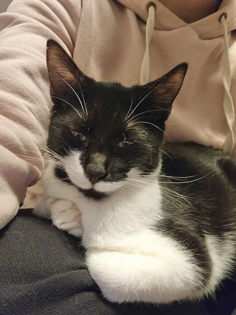 Cheyanne thumbnail 3