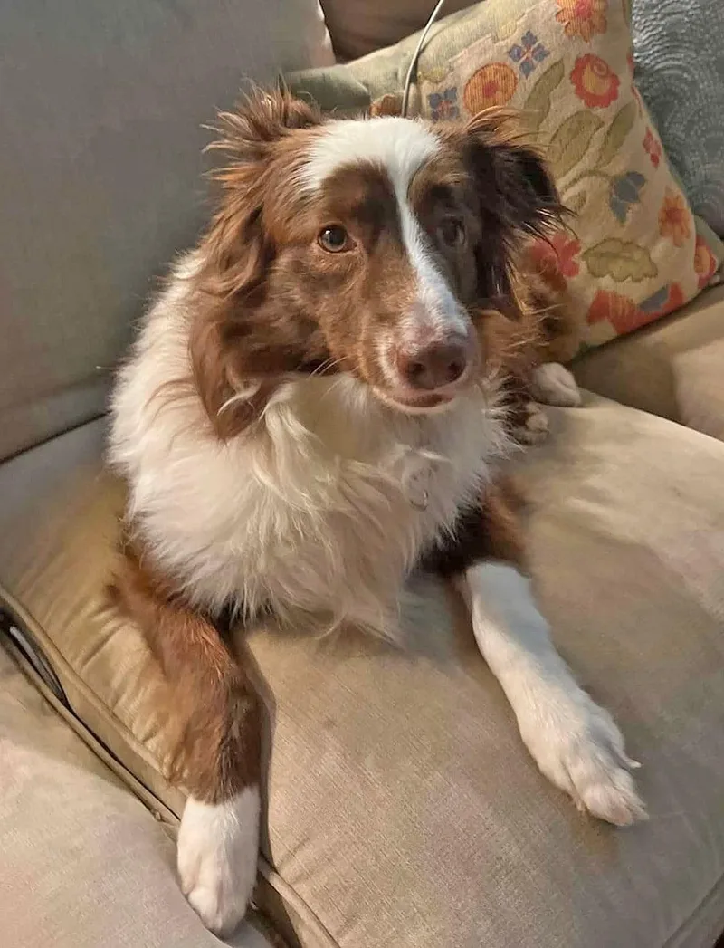 Coco