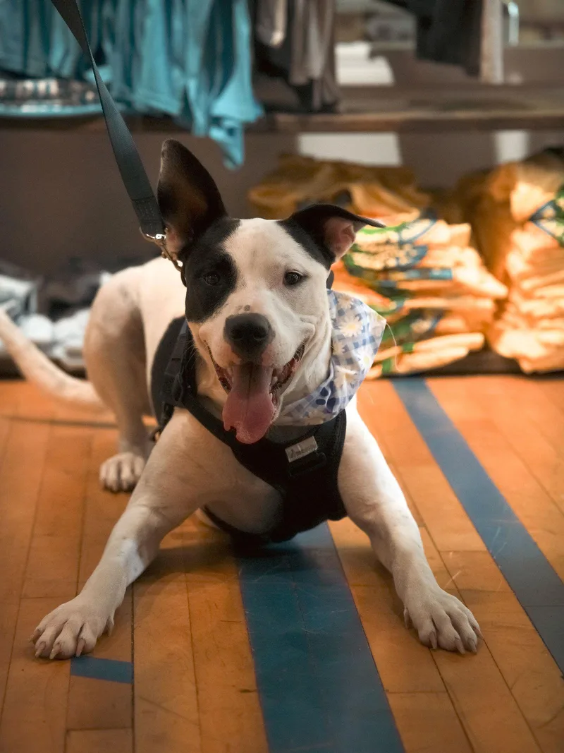 Radar  Ready For thumbnail 2