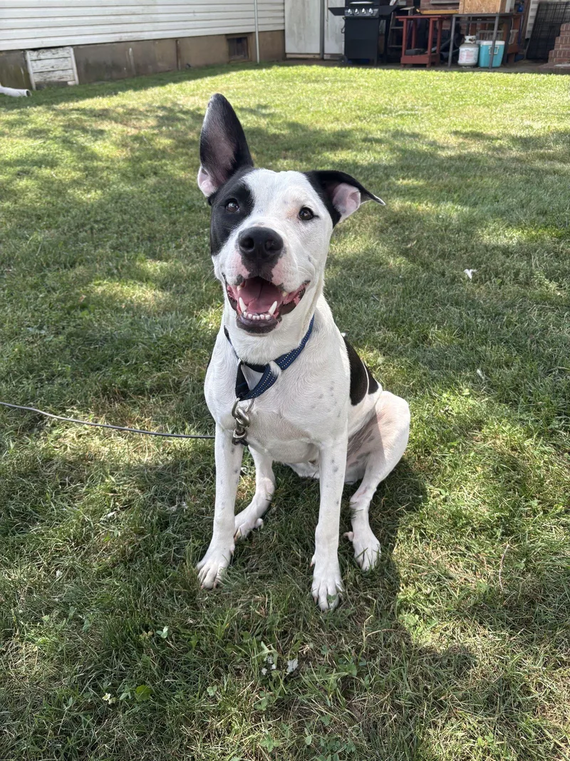 Radar  Ready For thumbnail 3