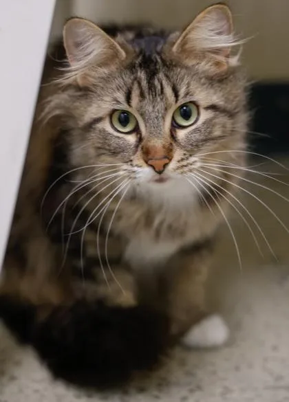 Prettypretty thumbnail 3