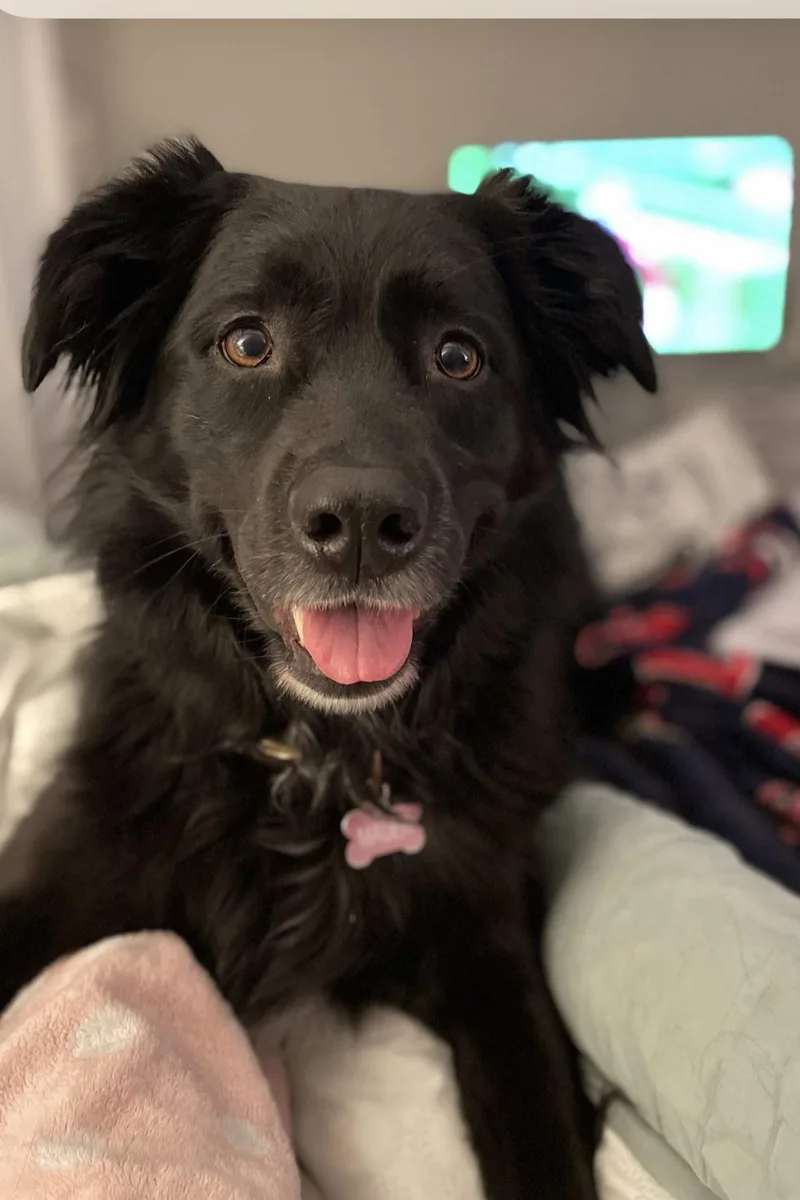 Courtesy: Mauer thumbnail 2