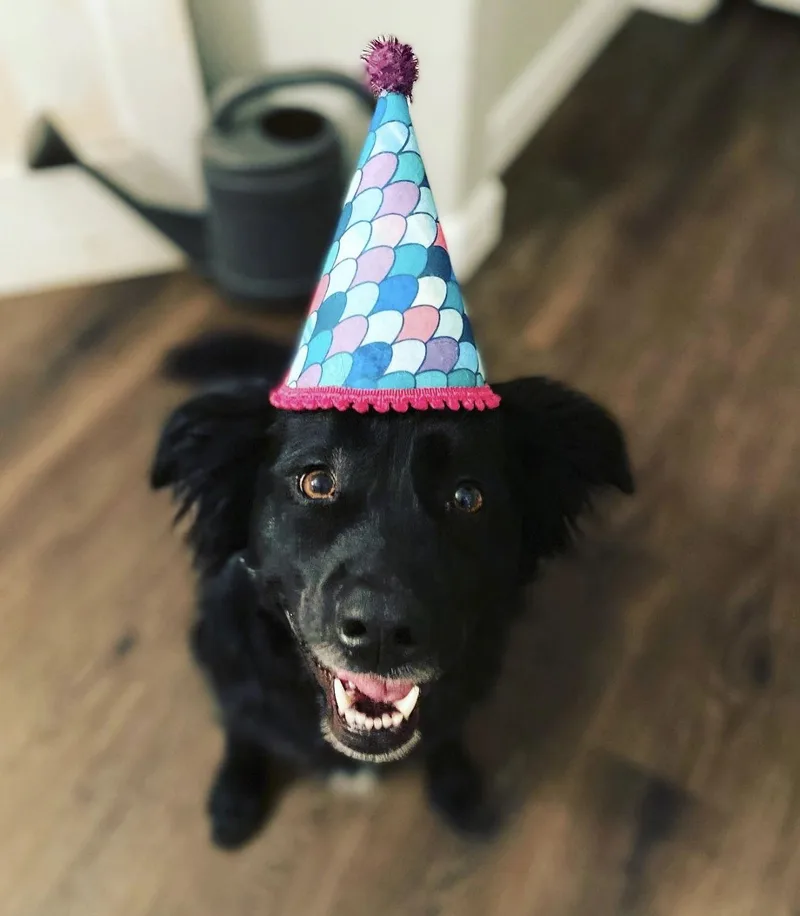 Courtesy: Mauer thumbnail 3