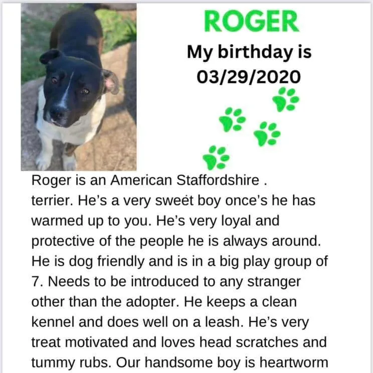 Roger thumbnail 3