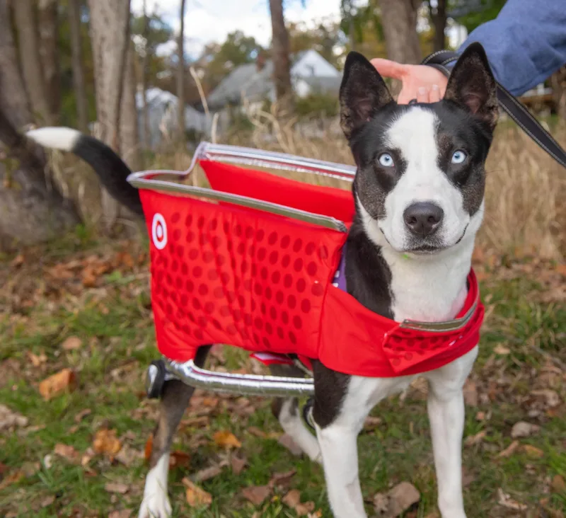 Sabril Aka Bri thumbnail 3