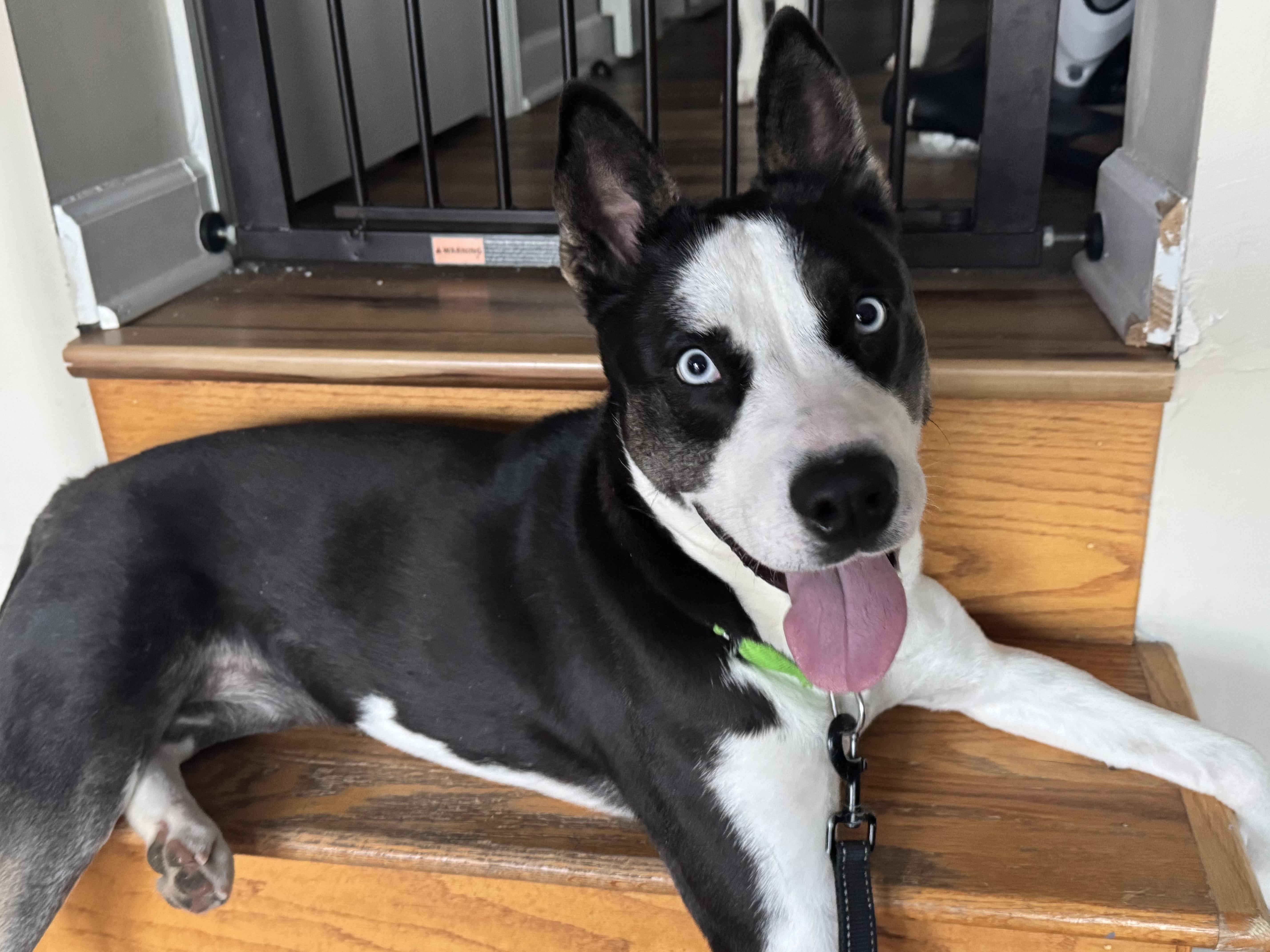 Sabril Aka Bri thumbnail 4