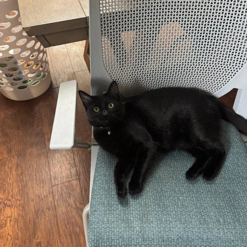 Mia