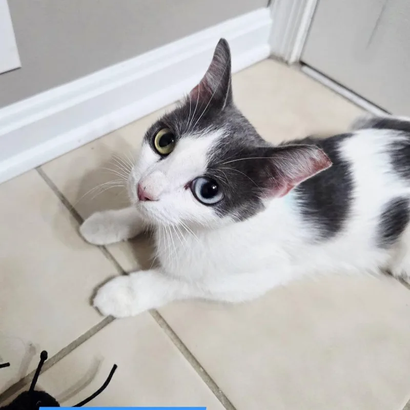 Charlotte thumbnail 2
