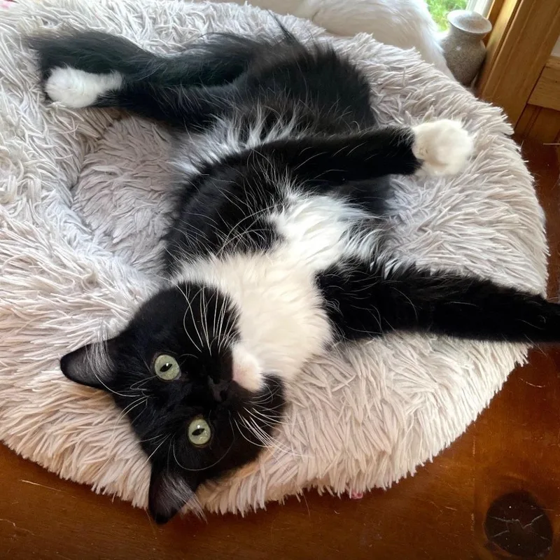 Kenny Pawgers thumbnail 2