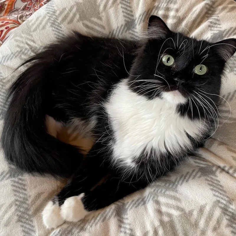 Kenny Pawgers thumbnail 3