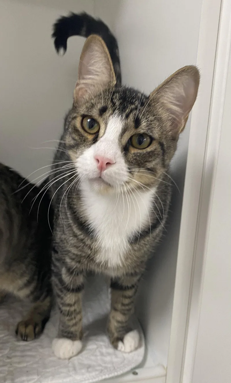 Marshal Mathers thumbnail 2