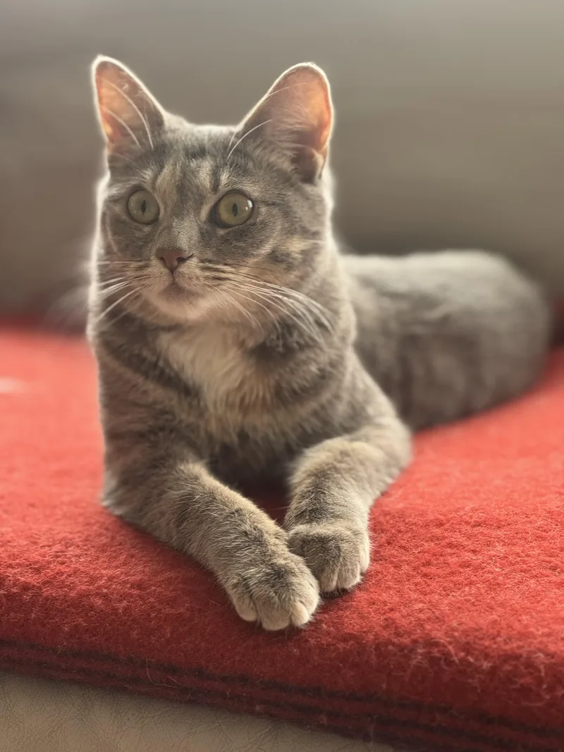 Esme  Our Little thumbnail 3