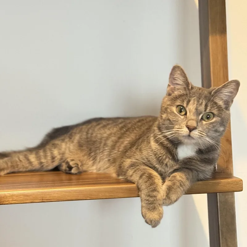 Esme  Our Little thumbnail 4