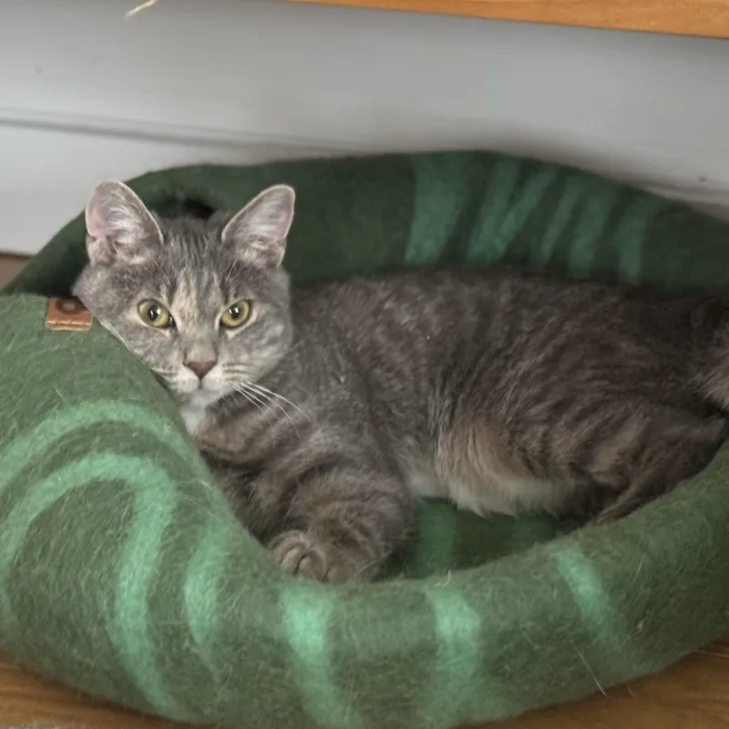 Esme  Our Little thumbnail 5