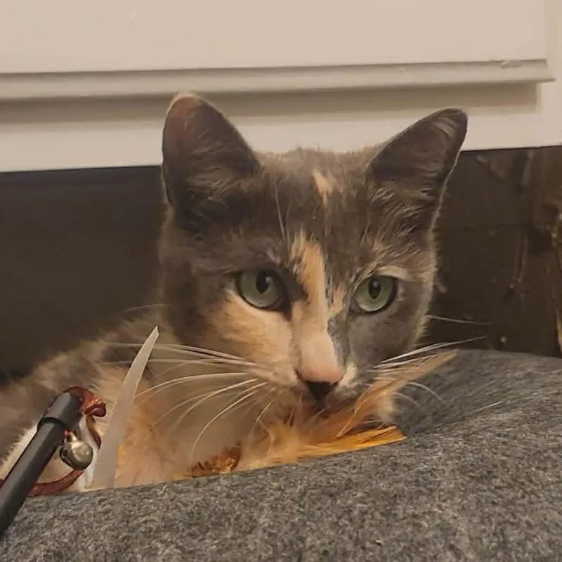 Lena