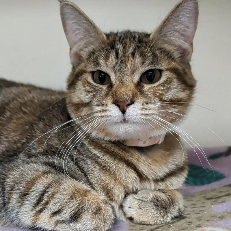 Louise Bonded With Thelma thumbnail 6