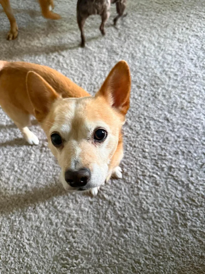 Scooter & Abby