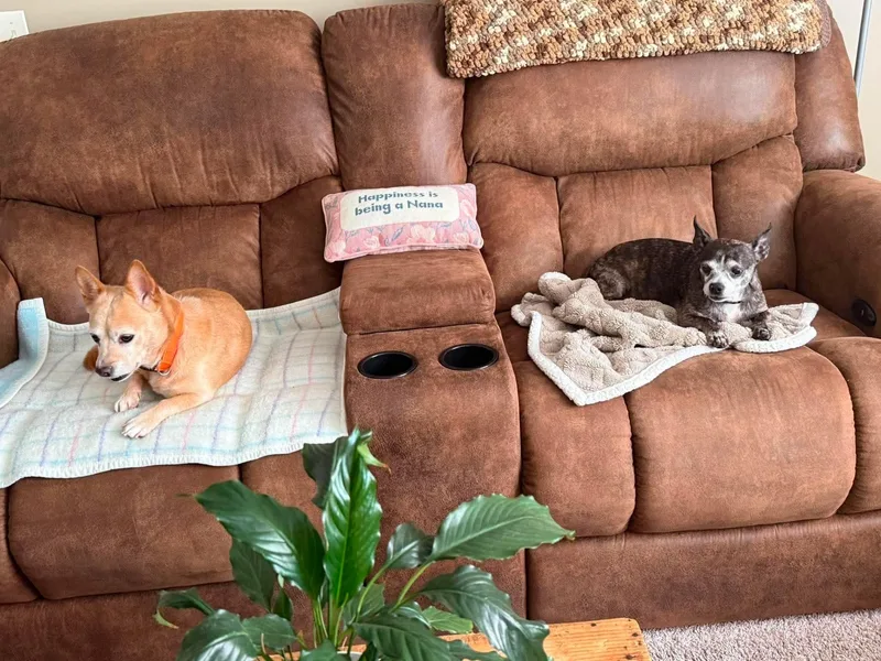 Scooter & Abby thumbnail 3