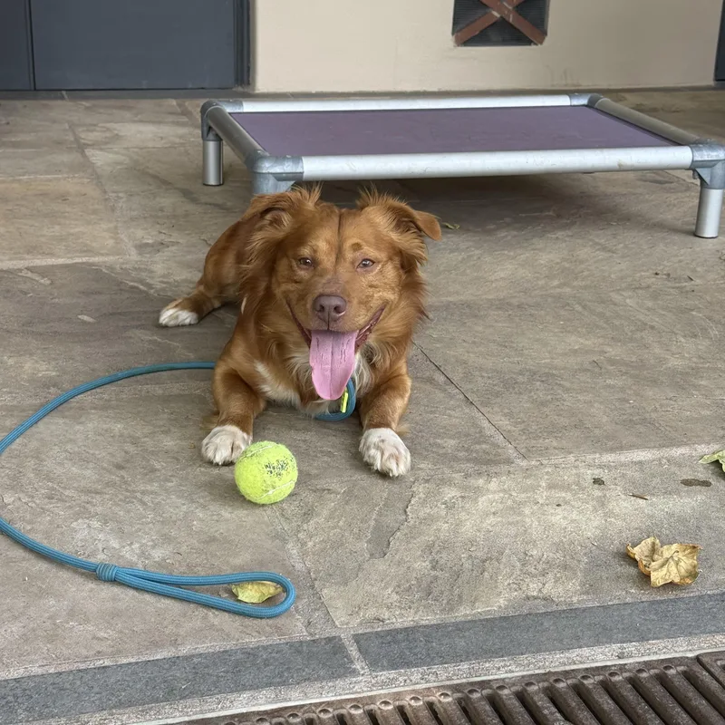 Thurston thumbnail 2