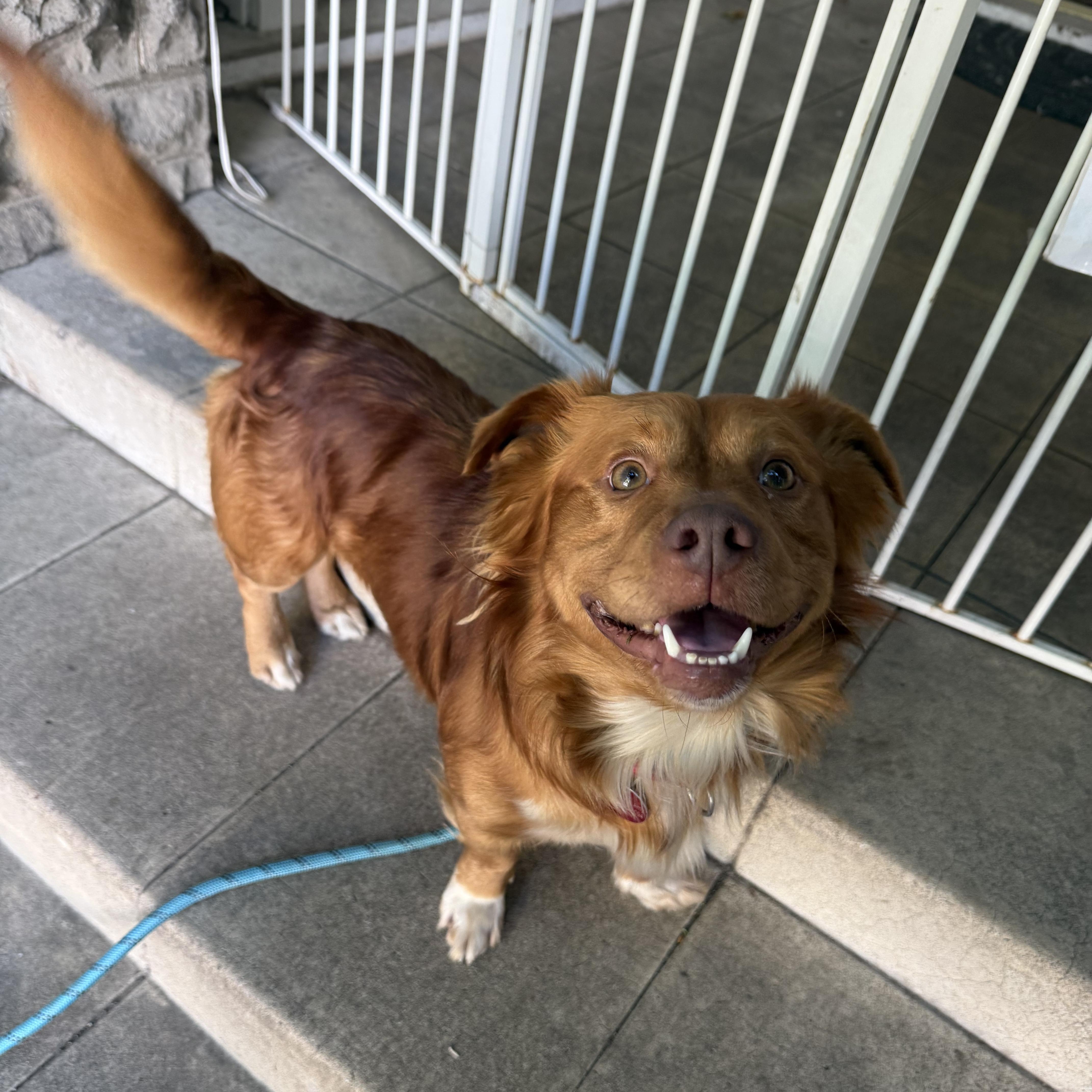 Thurston thumbnail 4