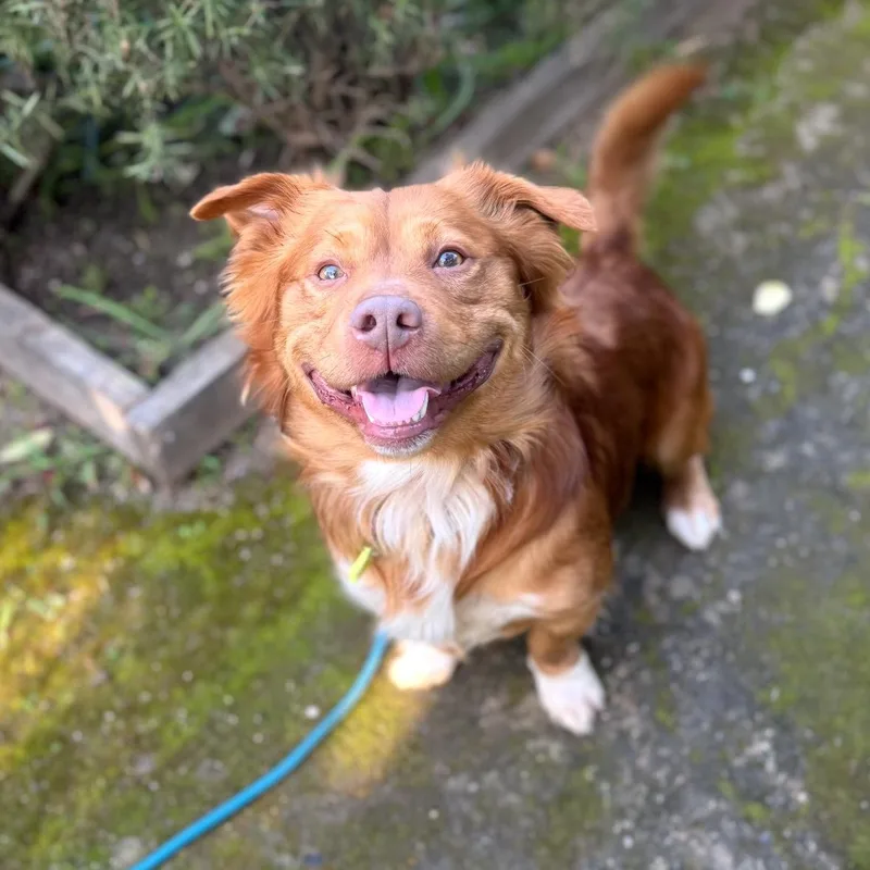 Thurston thumbnail 5