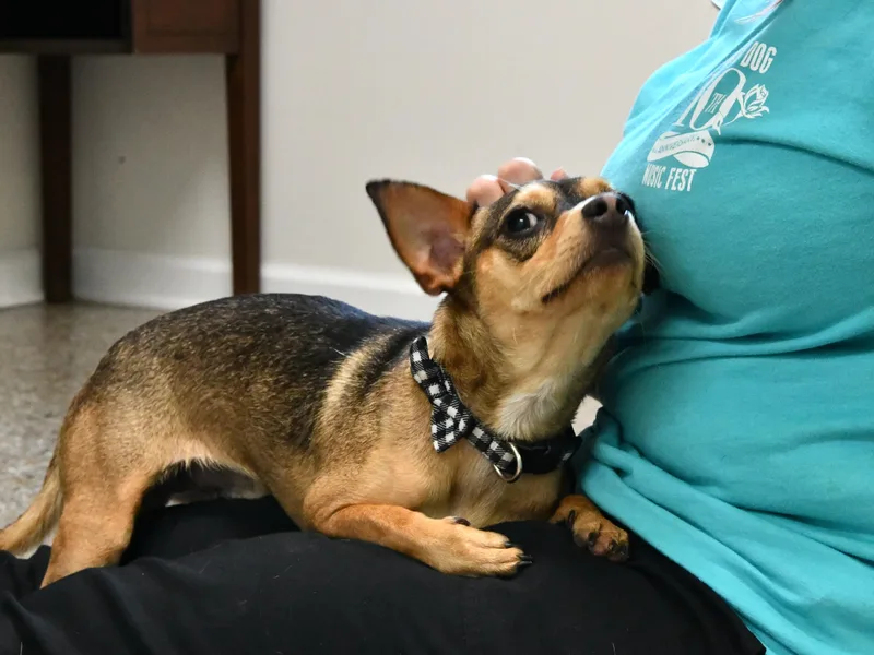 Chencho thumbnail 2