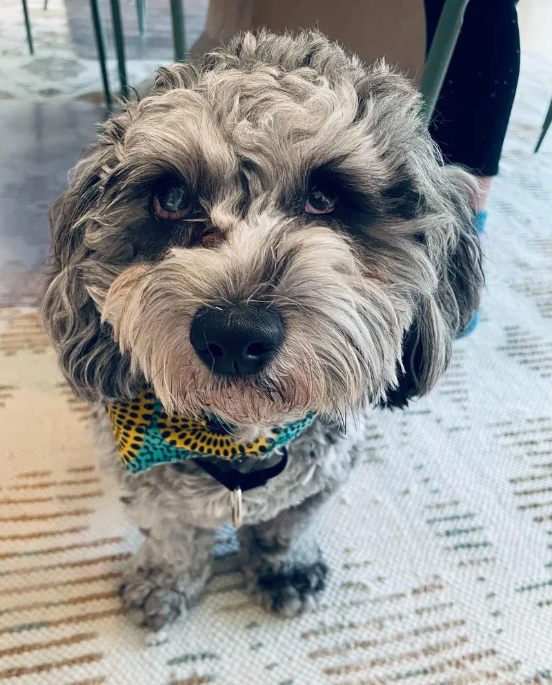 Charlie