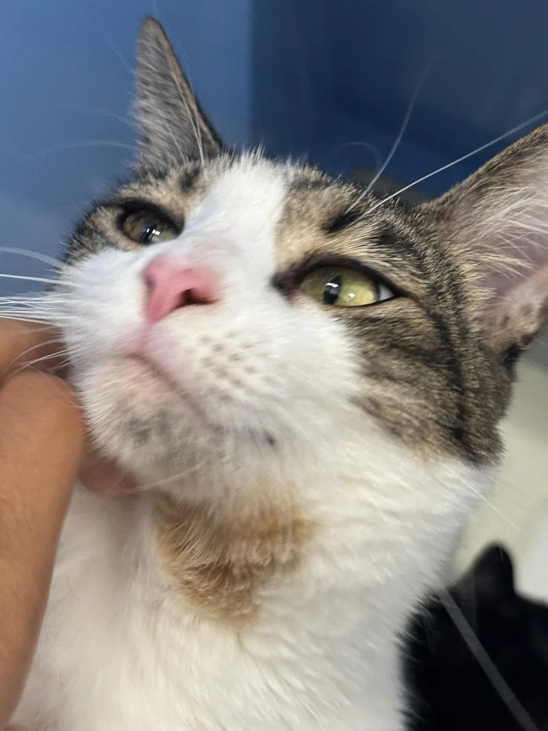 Valentina thumbnail 2