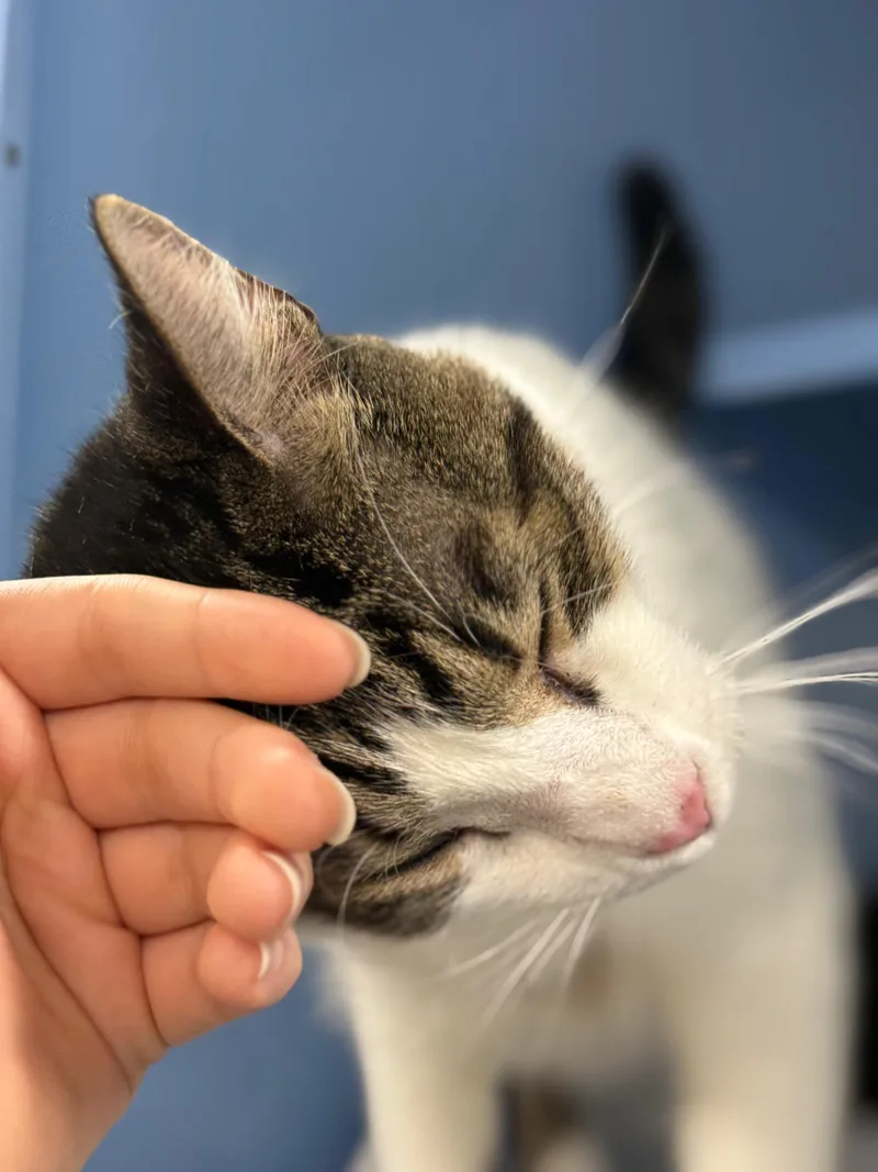 Valentina thumbnail 3