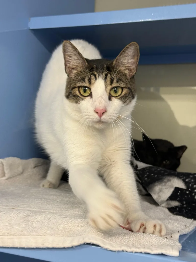 Valentina thumbnail 5