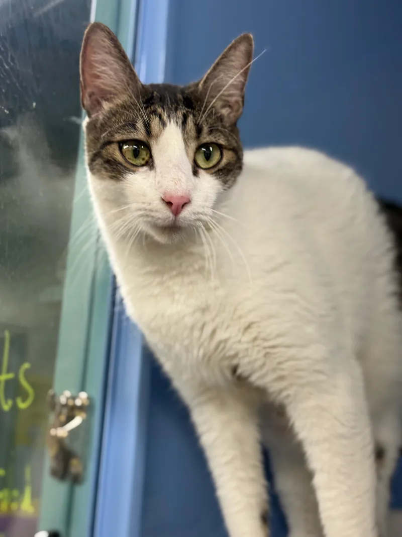 Valentina thumbnail 6