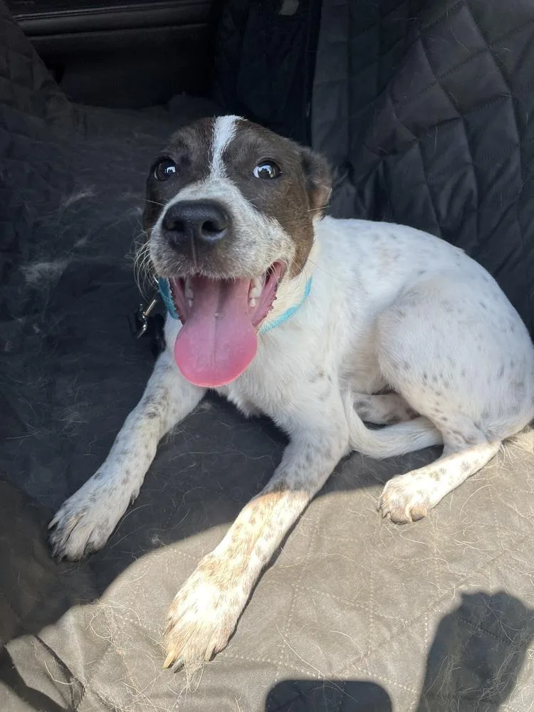 Benny