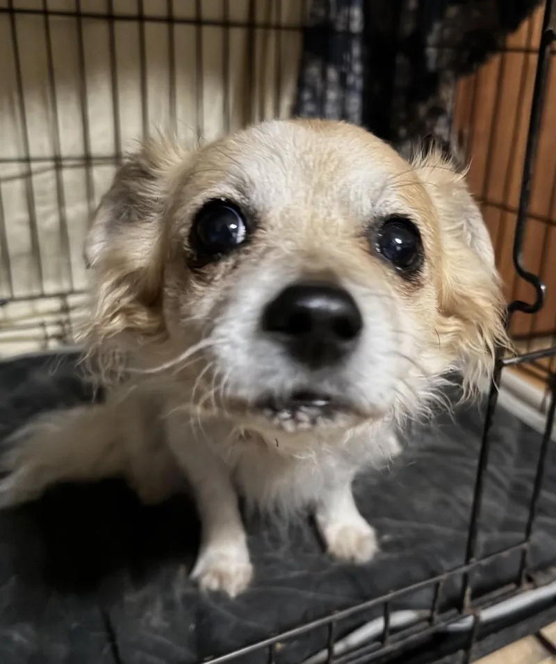 Precious thumbnail 2