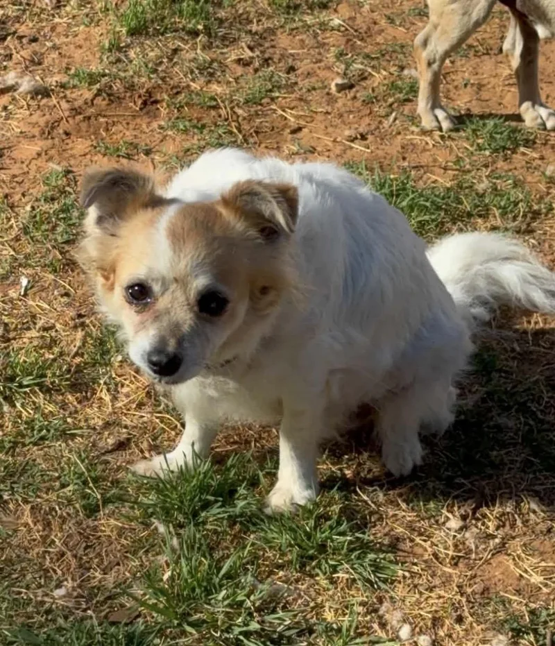 Precious thumbnail 3