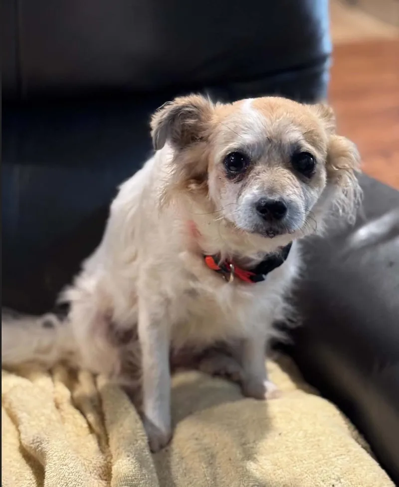 Precious thumbnail 6