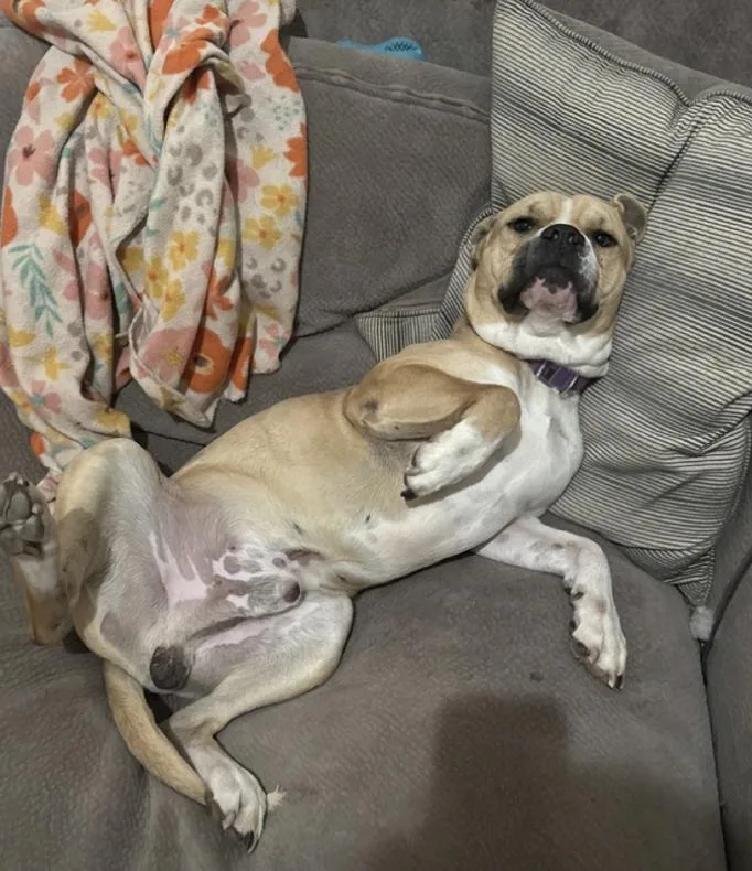 Zane : The Chill thumbnail 3