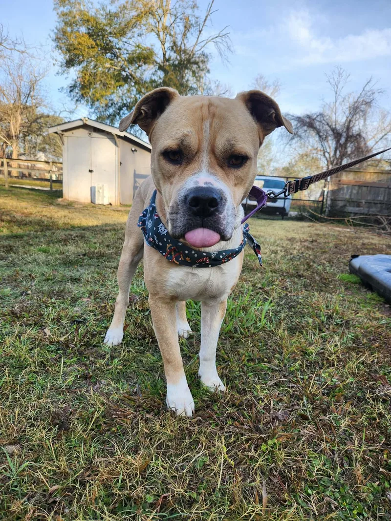 Zane : The Chill thumbnail 5