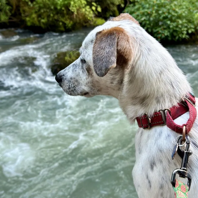 Wrangler thumbnail 2