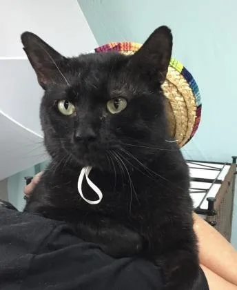 Ferguson thumbnail 2