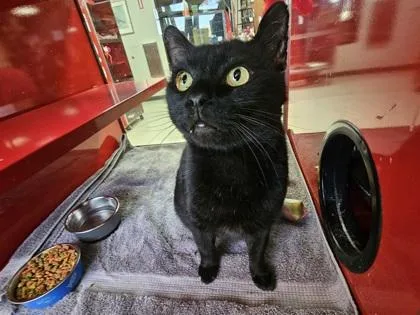 Ferguson thumbnail 3