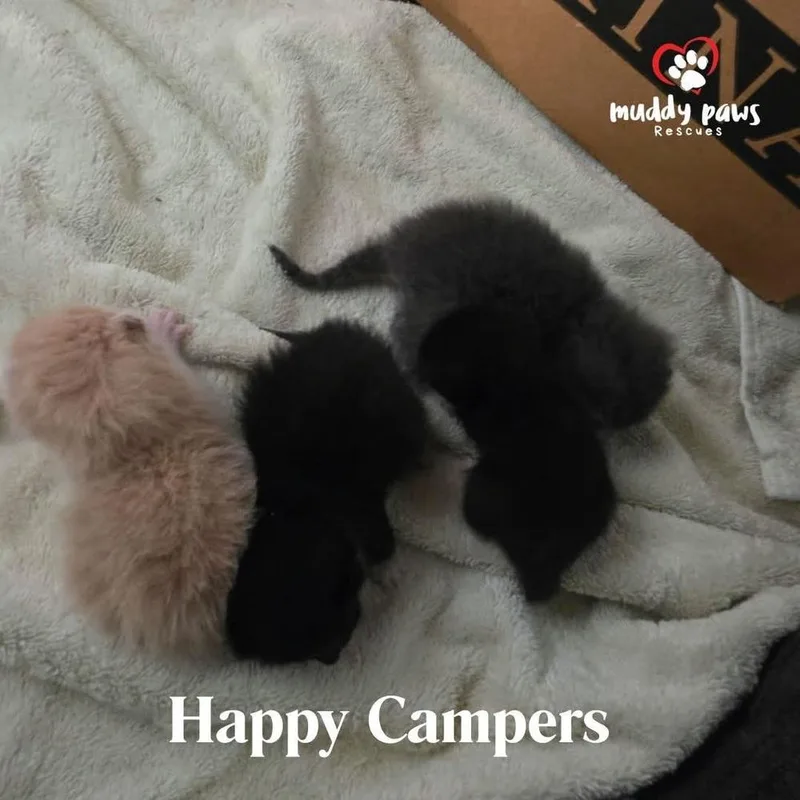Happy Campers: Whitehawk
