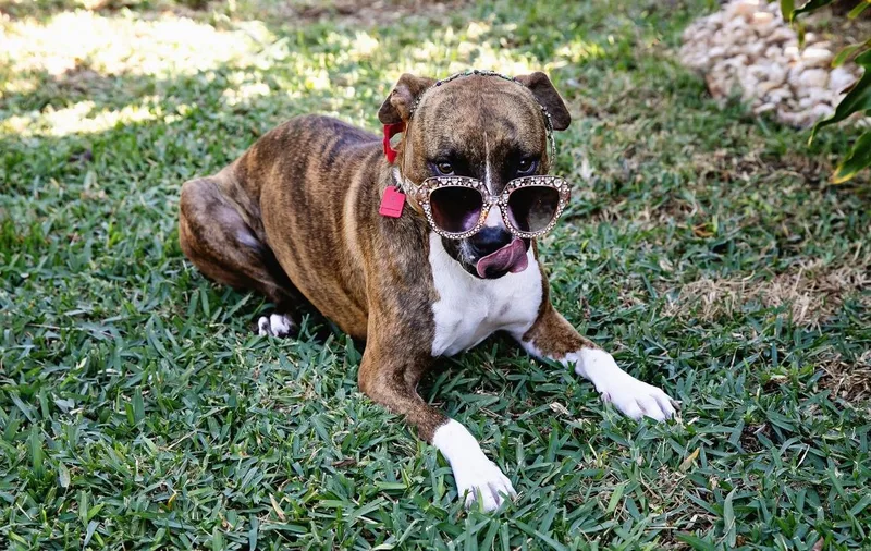 Tootsie Roll thumbnail 3